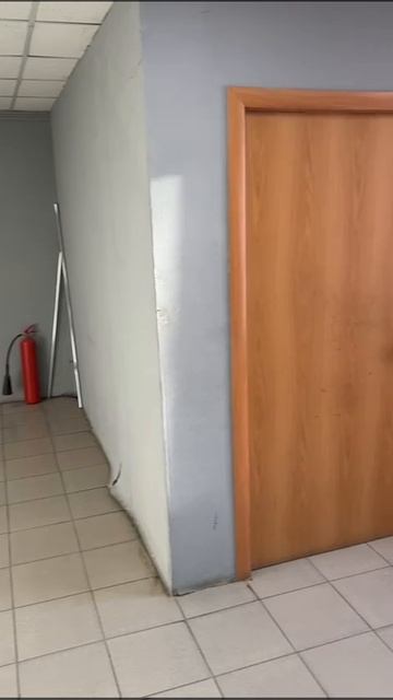 WhatsApp Video 2025-01-23 at 15.33.22