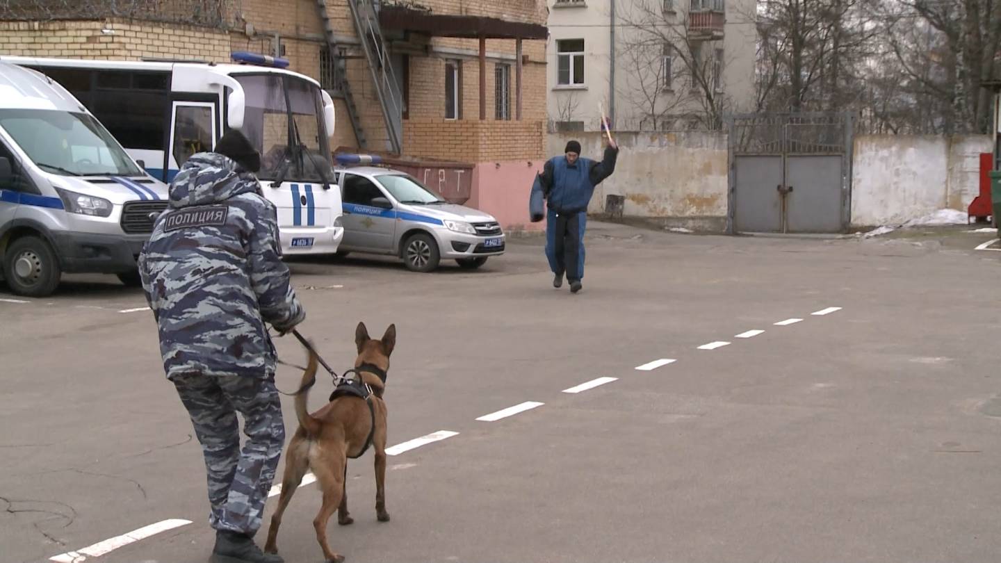 Мытищинские студенты познакомились с работой правоохранителей