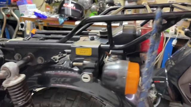 Honda z50j Gorilla ➡️ Honda CT50 Gorilla