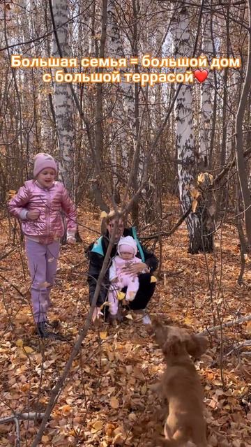 Тихий берег предлагает идеальные загородные дома!