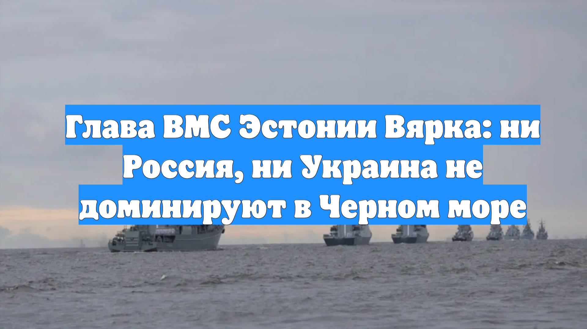 Глава ВМС Эстонии Вярка: ни Россия, ни Украина не доминируют в Черном море