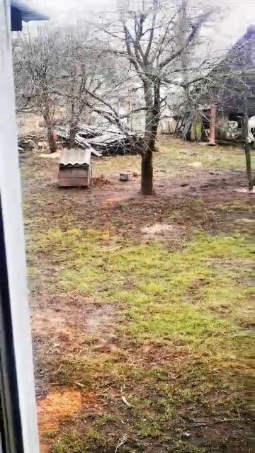 VID-20250123-WA0004.mp4