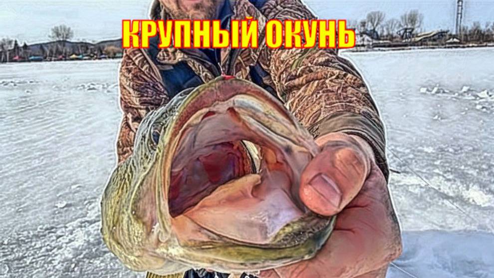 Подледная рыбалка на КРУПНОГО окуня