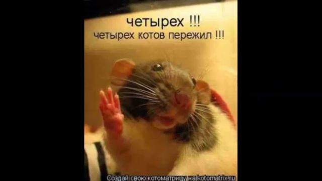 03 Говорит Одесса