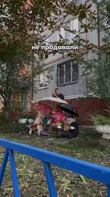 Минутка ностальгии а когда вы в последний раз стреляли рябиной