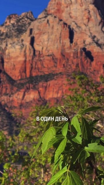 Какой момент из своей жизни ты бы хотел пережить снова?