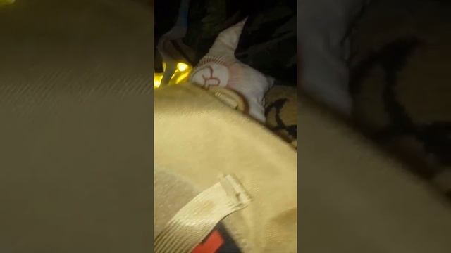 Что мы возьмём в поход