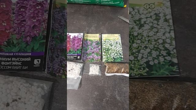 Стратификация семян.