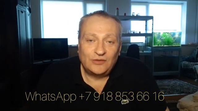 НИКОЛАЕВСКИЕ ГОЛУБИ. НУЖНА ПОМОЩЬ!!!