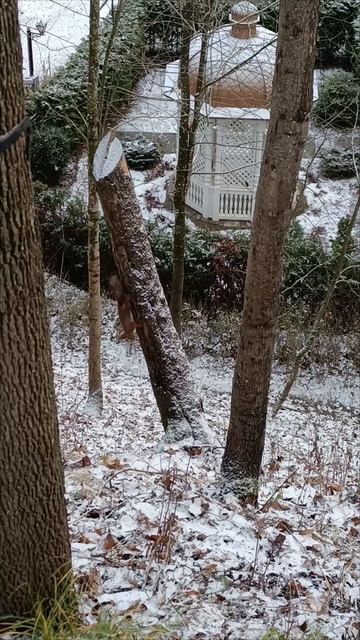 @белки 🐿️🐿️🐿️