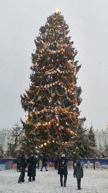 Дворцовая площадь в Санкт-Петербурге