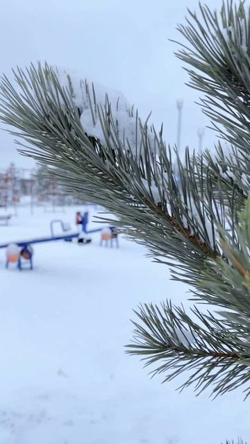 Как купить загородный дом и не прогадать?