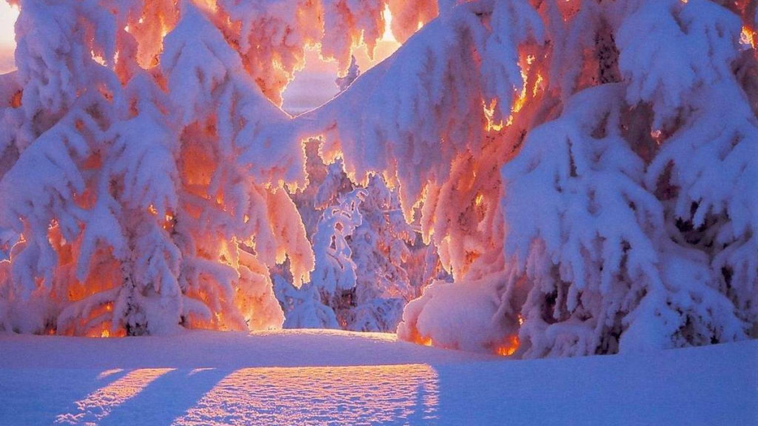 Снежное чудо
