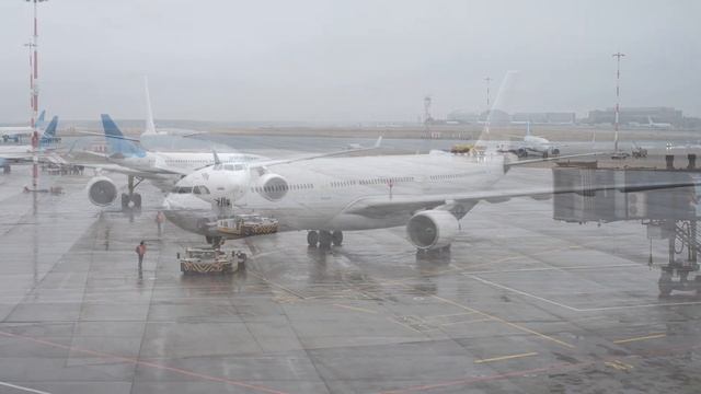 Буксировка безводильным тягачом TLD TPX 200 во Внуково.