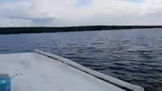 Суйсарь ЗДАРОВА !!!