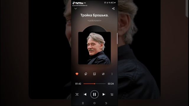 Тройка Брошька.