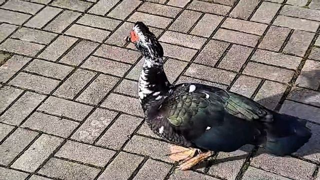 Счастье живет рядом с нами