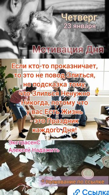 Четверг • 23 января
Мотивация Дня 
ЭкстрасенС Алексей Надажить