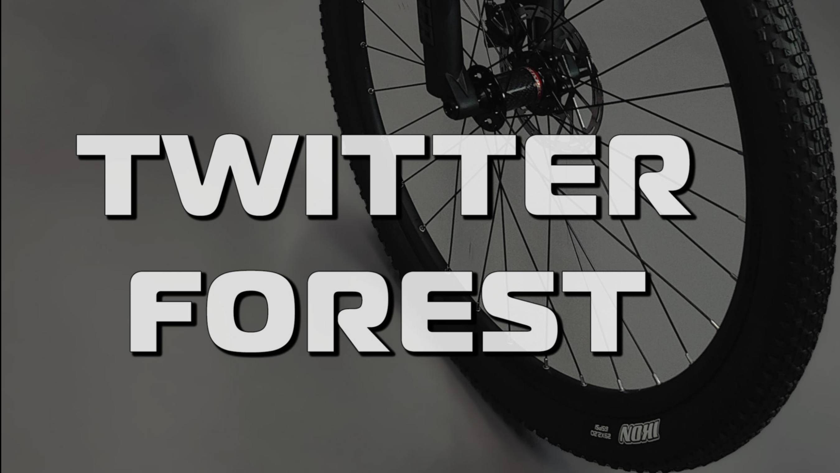 Карбоновый горный двухподвес Twitter Forest 29