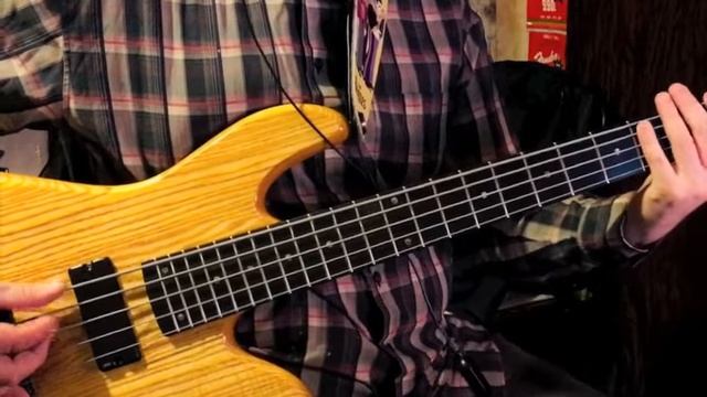 Chick Corea-"Paint the World"(bass cover)