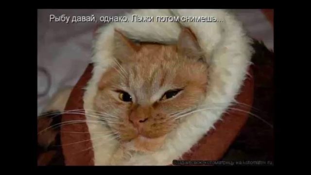 02 Говорит Одесса
