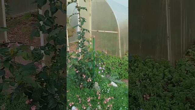 1000011464.mp4