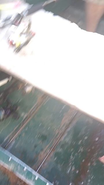 scene_output.mp4
