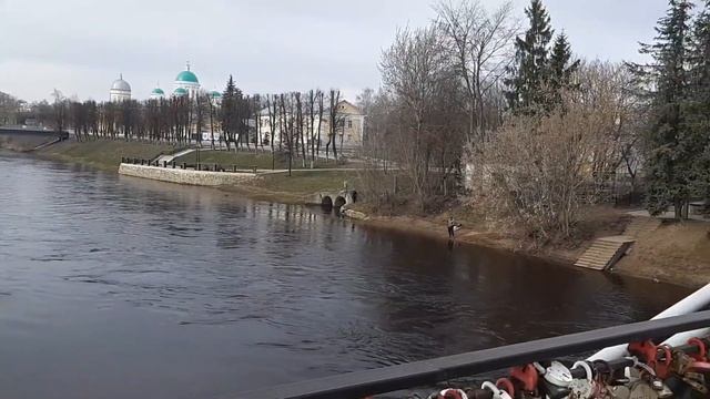 Со светлым Христовым Воскресением! Город с шестью голубями на гербе. Николаеские голуби.