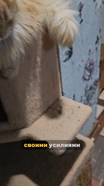 Вербуся пришла к иконам и попросила рассказать ребятам про Библию 😇🌈💓🙏😻
