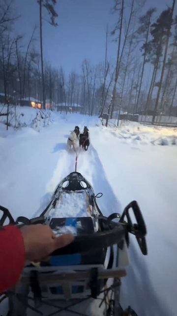 Наш тг канал👇
https://t.me/adventure7373