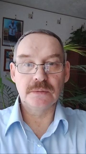 Птичка ожила 19.01.25