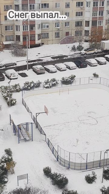 Снег выпал...