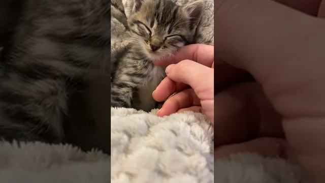 1000002165.mp4