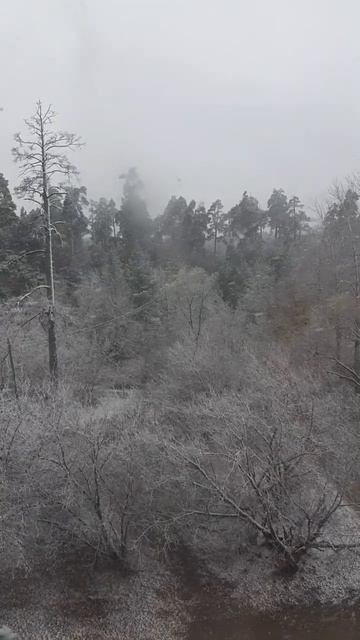 И выпал первый снег