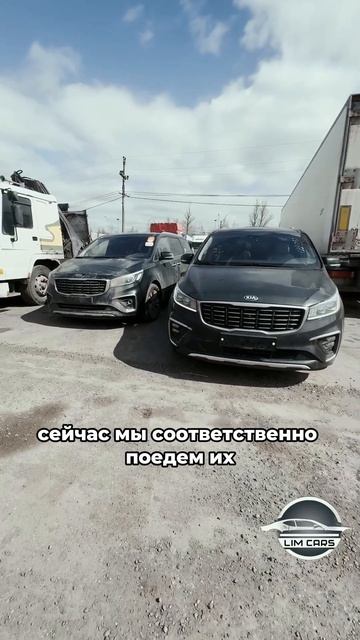 Kia Carnival из Кореи под заказ #автоизкореи #автоподзаказ #автоизкореиподзаказ