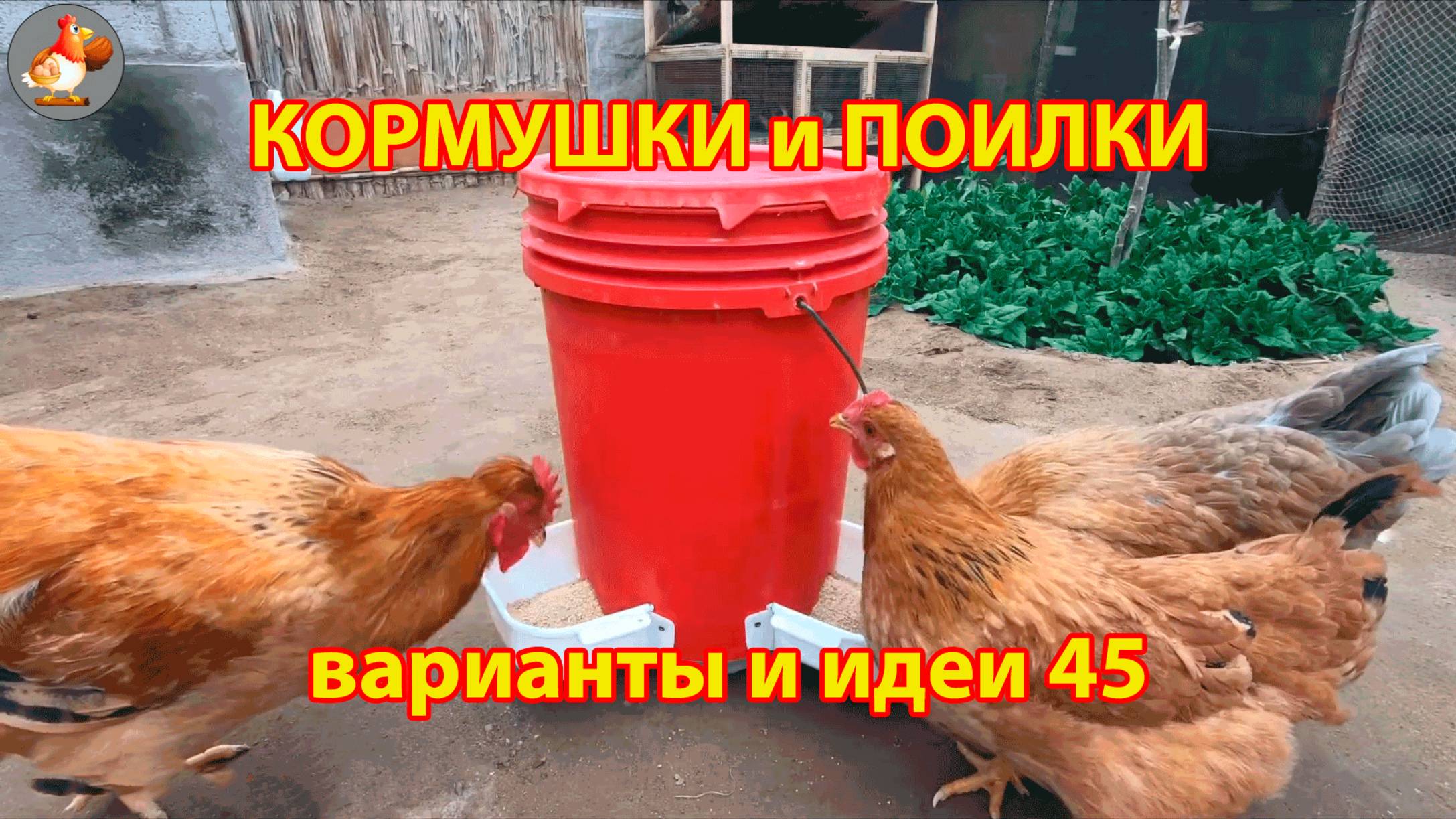 Кормушки и поилки для кур своими руками 45 🪚✂️ Пошаговая инструкция как сделать 🐔 🐓❣️
