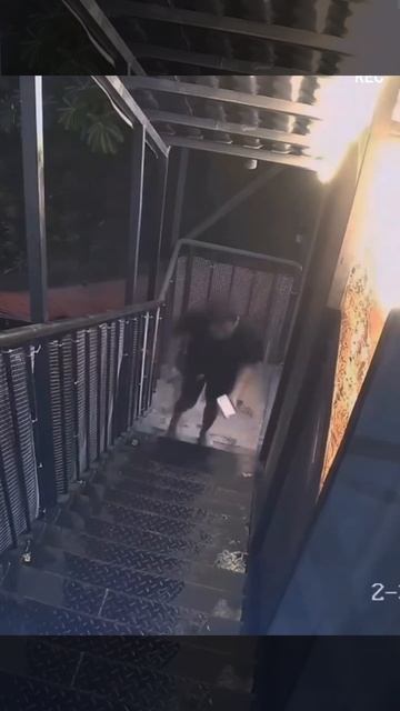 Ничему парня жизнь не учит