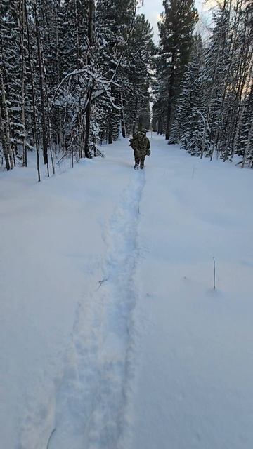 Страйкбол 4 янв 25 года