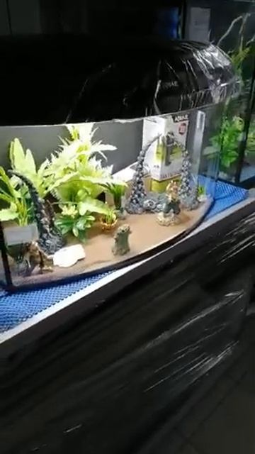 WhatsApp Video 2021 06 28 at 16 30 27