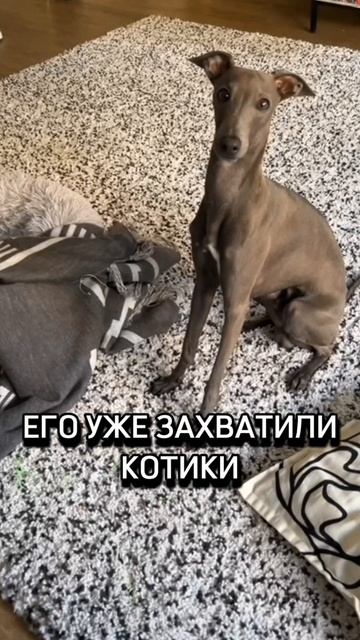 Понял, что задал "неправильный" вопрос.