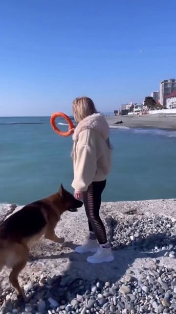 🐾🐕🌊☀️
