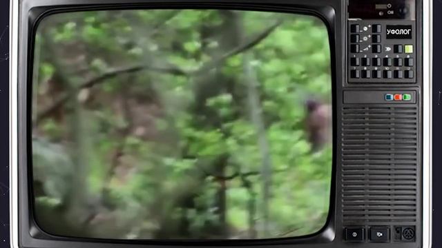 САМКА ЙЕТИ С ДЕТЕНЫШЕМ сняли на камеру (Снежный человек или Бигфут) Монстр и Чуд