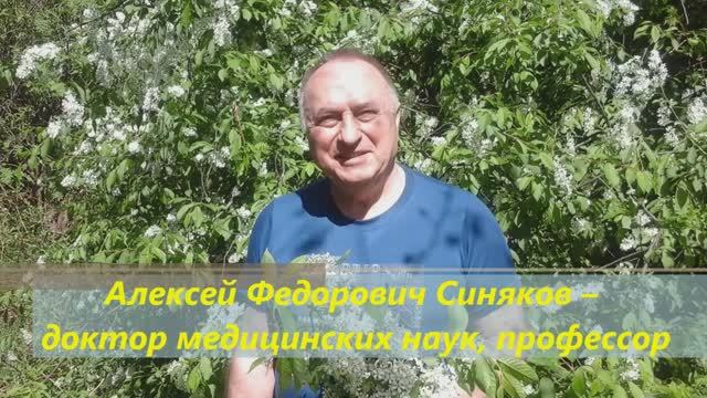 Доктор Синяков: непревзойденные эликсиры здоровья