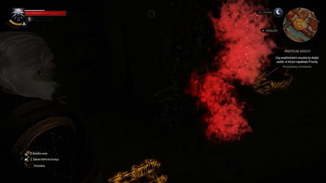 Wiedźmin 3 Dziki Gon PL | odc. 62 | Next-Gen | Śmiertelne Grzechy