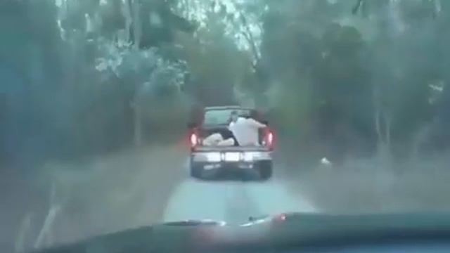 Удивительная полицейская погоня в американской глубинке