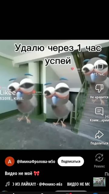 1000006177.mp4
