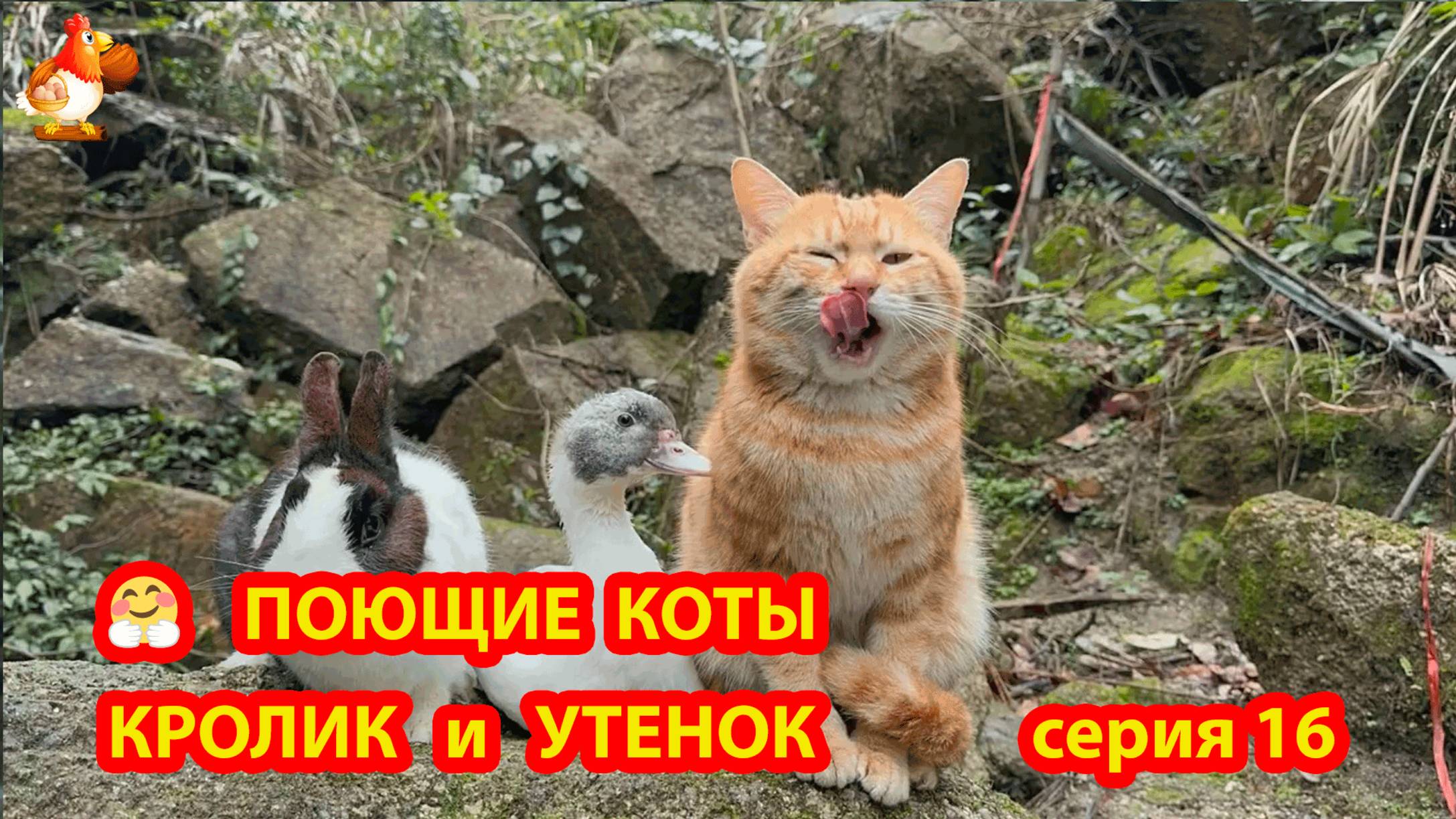 Крутые коты у птичьего двора серия 16 🐈🐈⬛😹 Природа Абхазии и подворье с птицами и животными ❣️