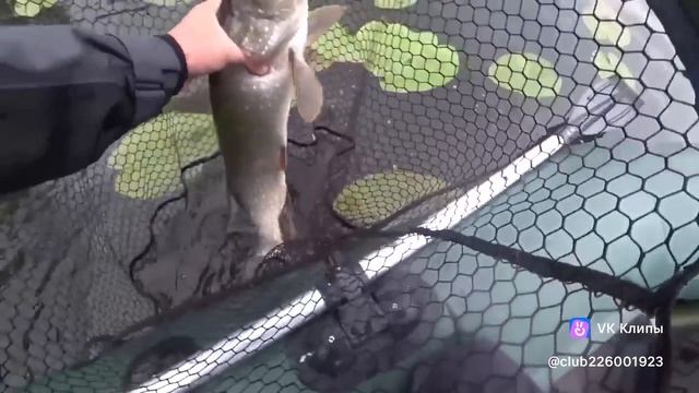1000008323.mp4