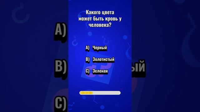 Самый умный №33