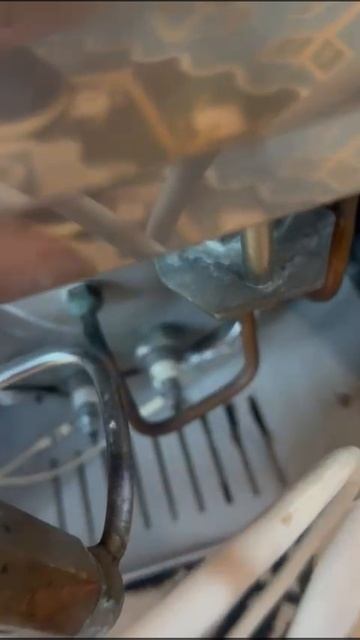 VID-20250123-WA0006